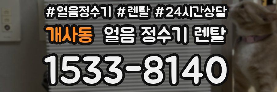 개사동 얼음 정수기 렌탈