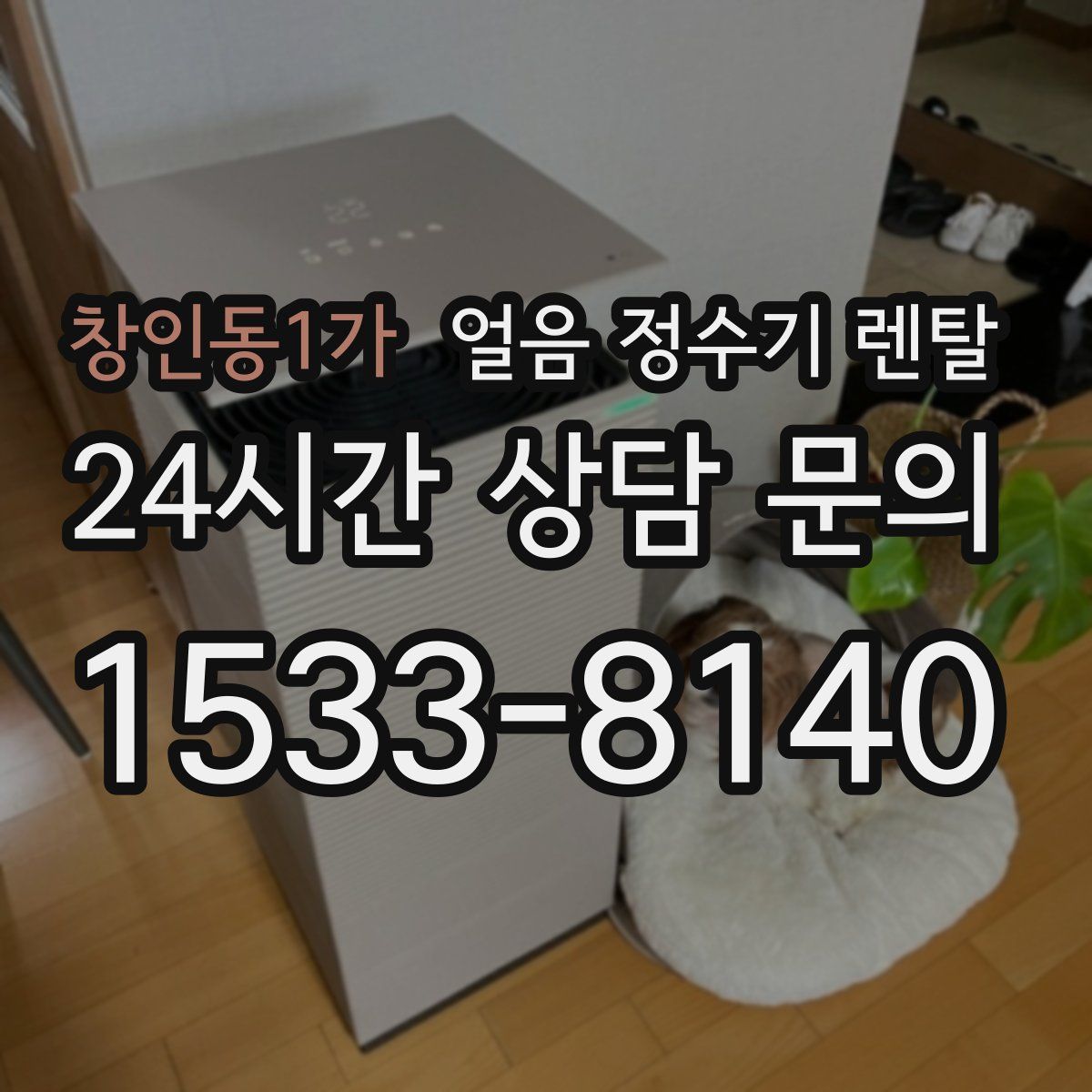 창인동1가 얼음 정수기 렌탈