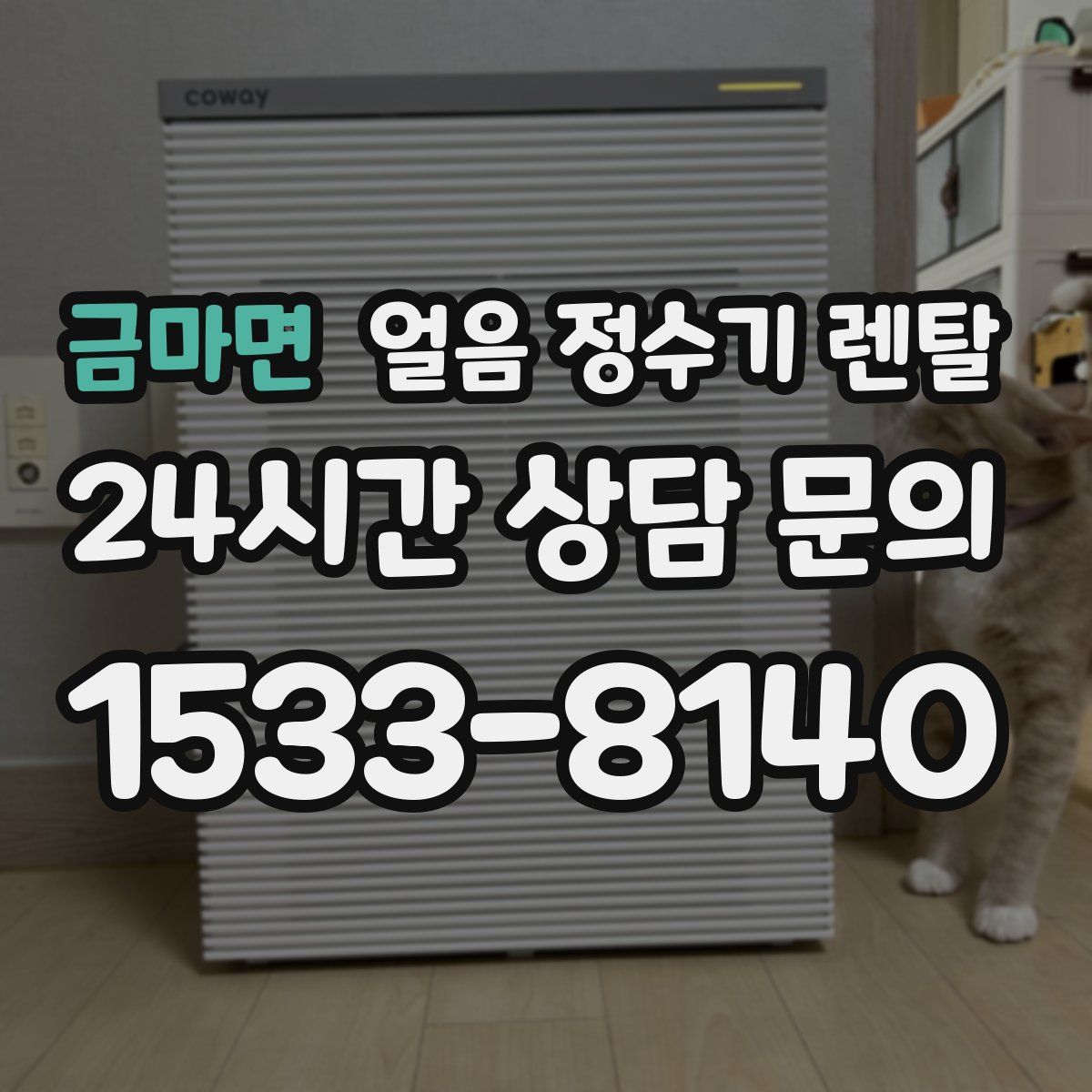 금마면 얼음 정수기 렌탈