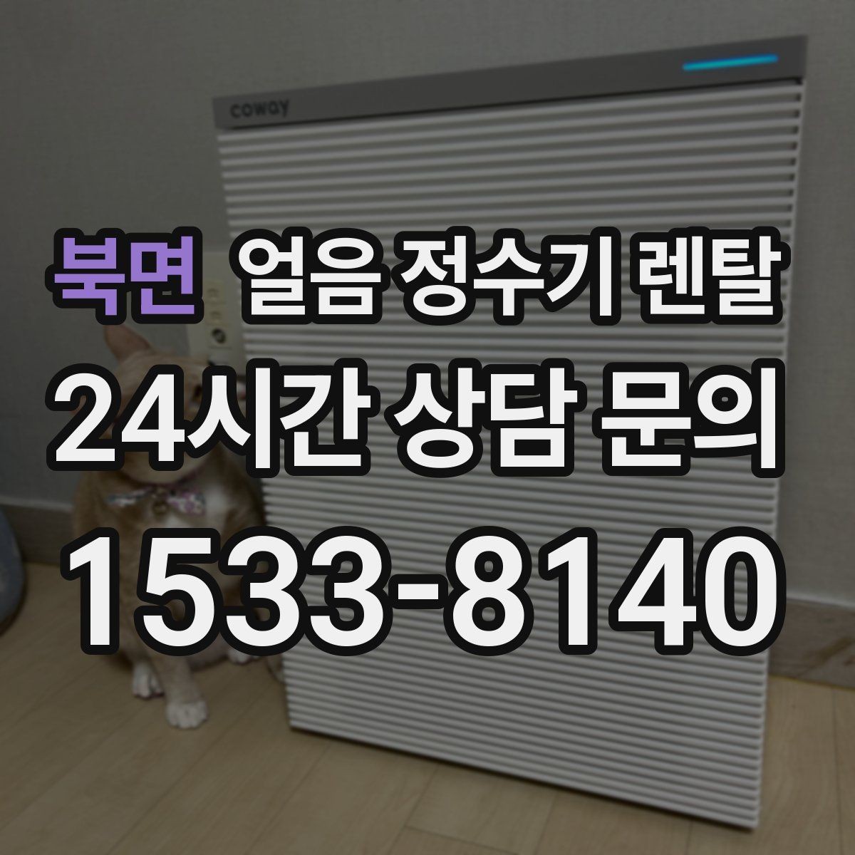 북면 얼음 정수기 렌탈 얼음이 가끔 끊겨 나오면 어디를 점검할까