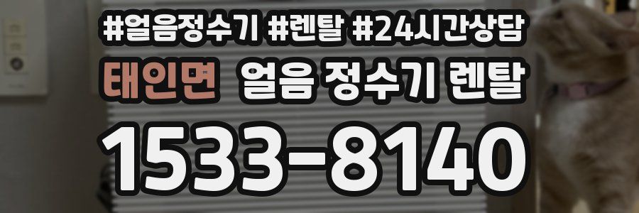 태인면 얼음 정수기 렌탈