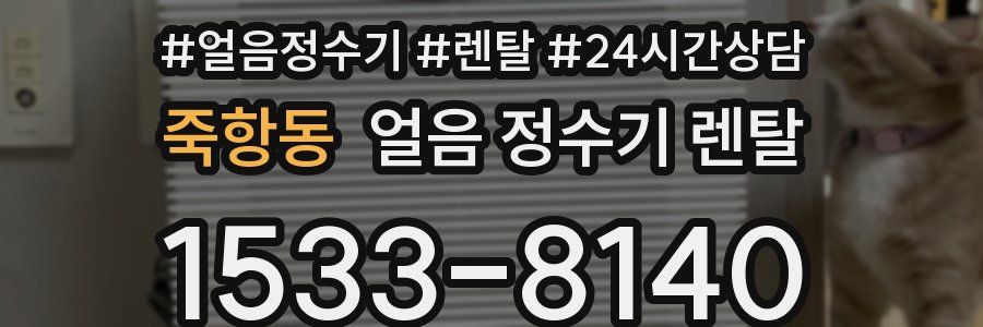 죽항동 얼음 정수기 렌탈