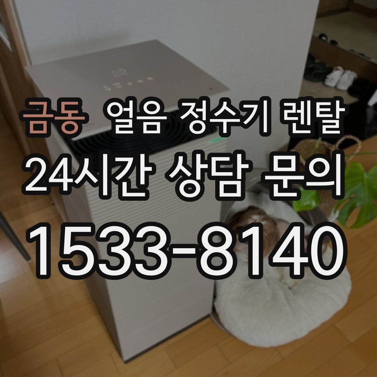 금동 얼음 정수기 렌탈 얼음이 잘 녹는다면 '크기' 선택부터