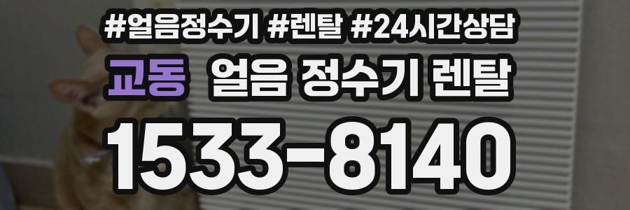 교동 얼음 정수기 렌탈