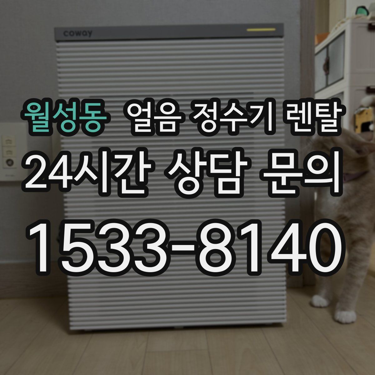 월성동 얼음 정수기 렌탈