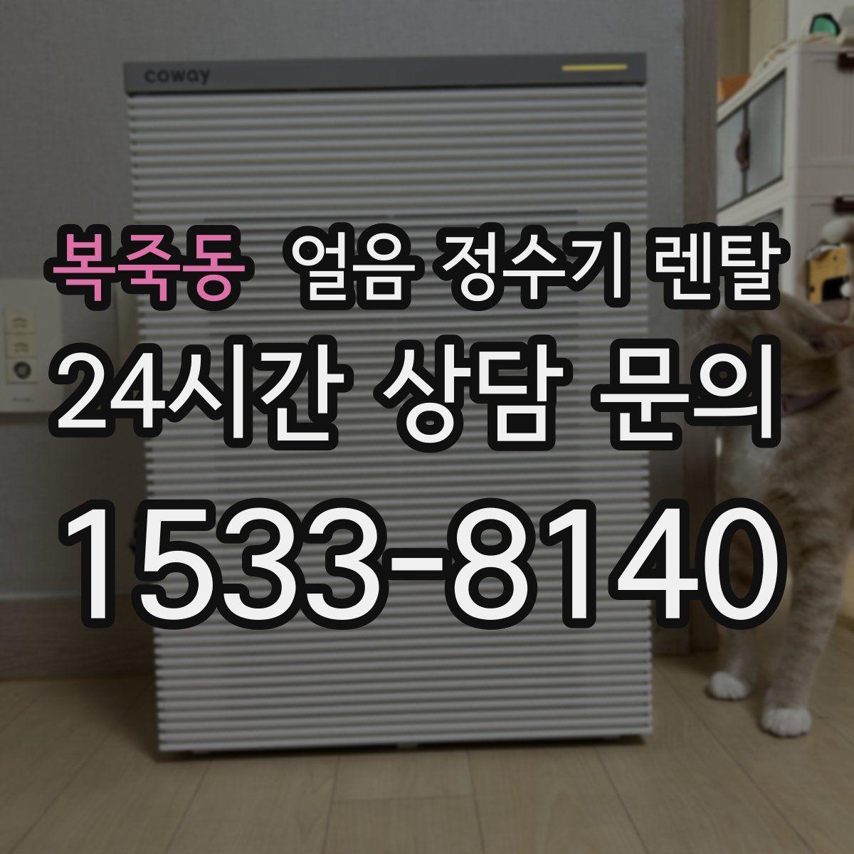 복죽동 얼음 정수기 렌탈