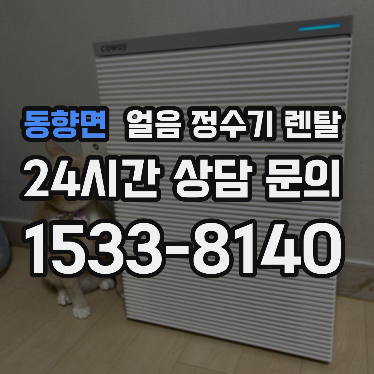 동향면 얼음 정수기 렌탈