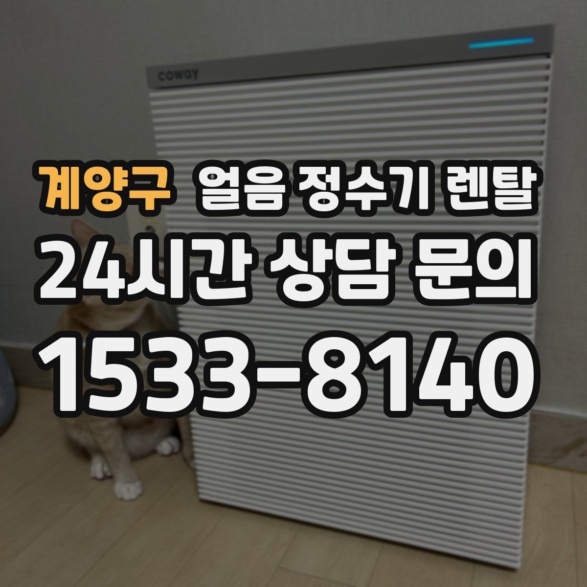 계양구 얼음 정수기 렌탈 얼음과 탄산 조합이 편해지는 이유