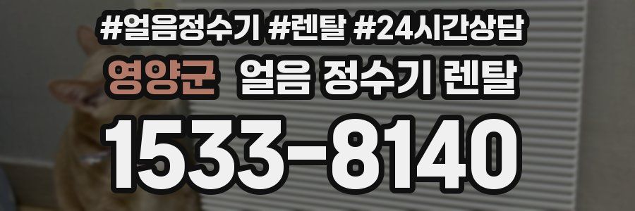 영양군 얼음 정수기 렌탈