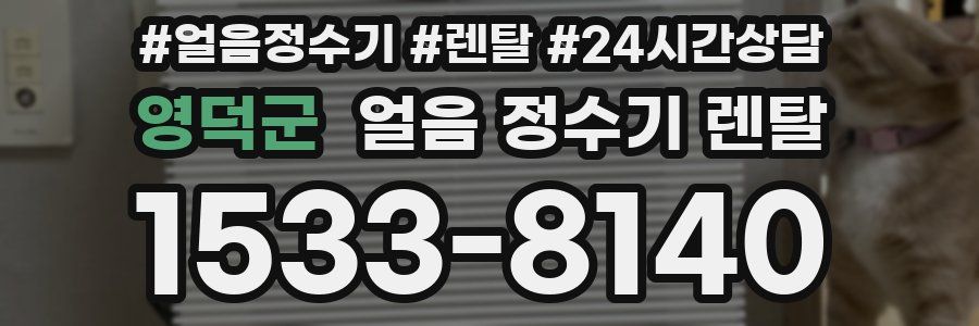 영덕군 얼음 정수기 렌탈