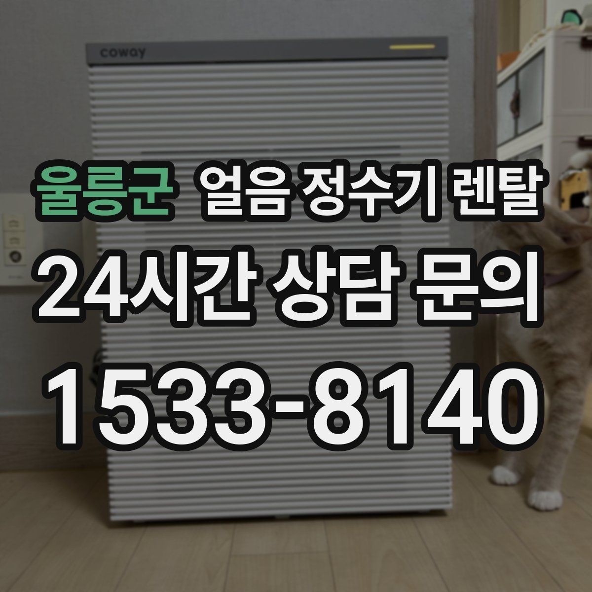 울릉군 얼음 정수기 렌탈 중공사 나노 RO 중 내 집에 맞는 선택
