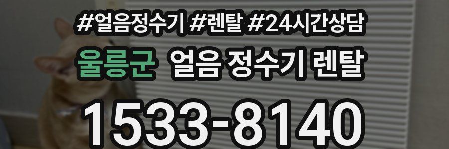 울릉군 얼음 정수기 렌탈