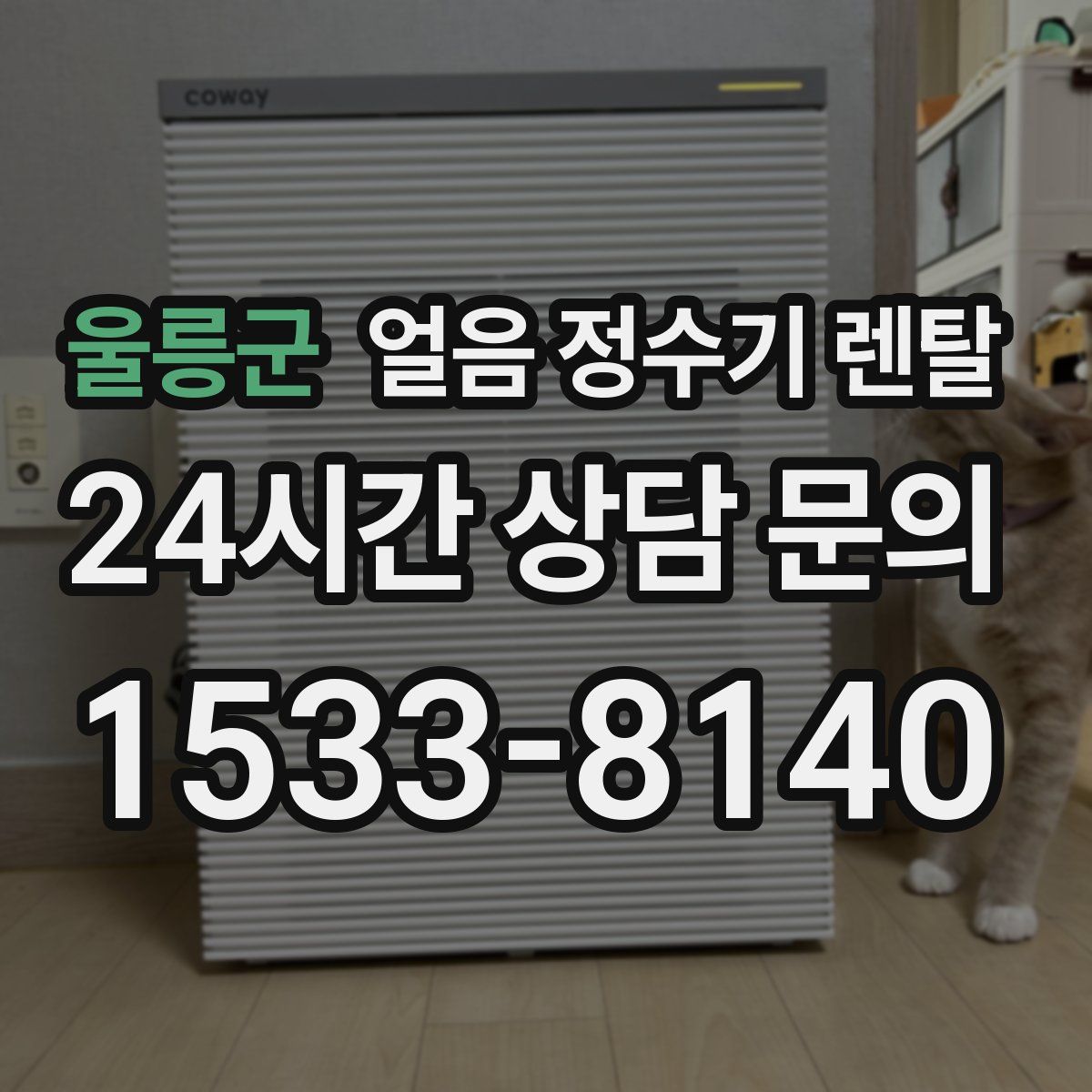 울릉군 얼음 정수기 렌탈