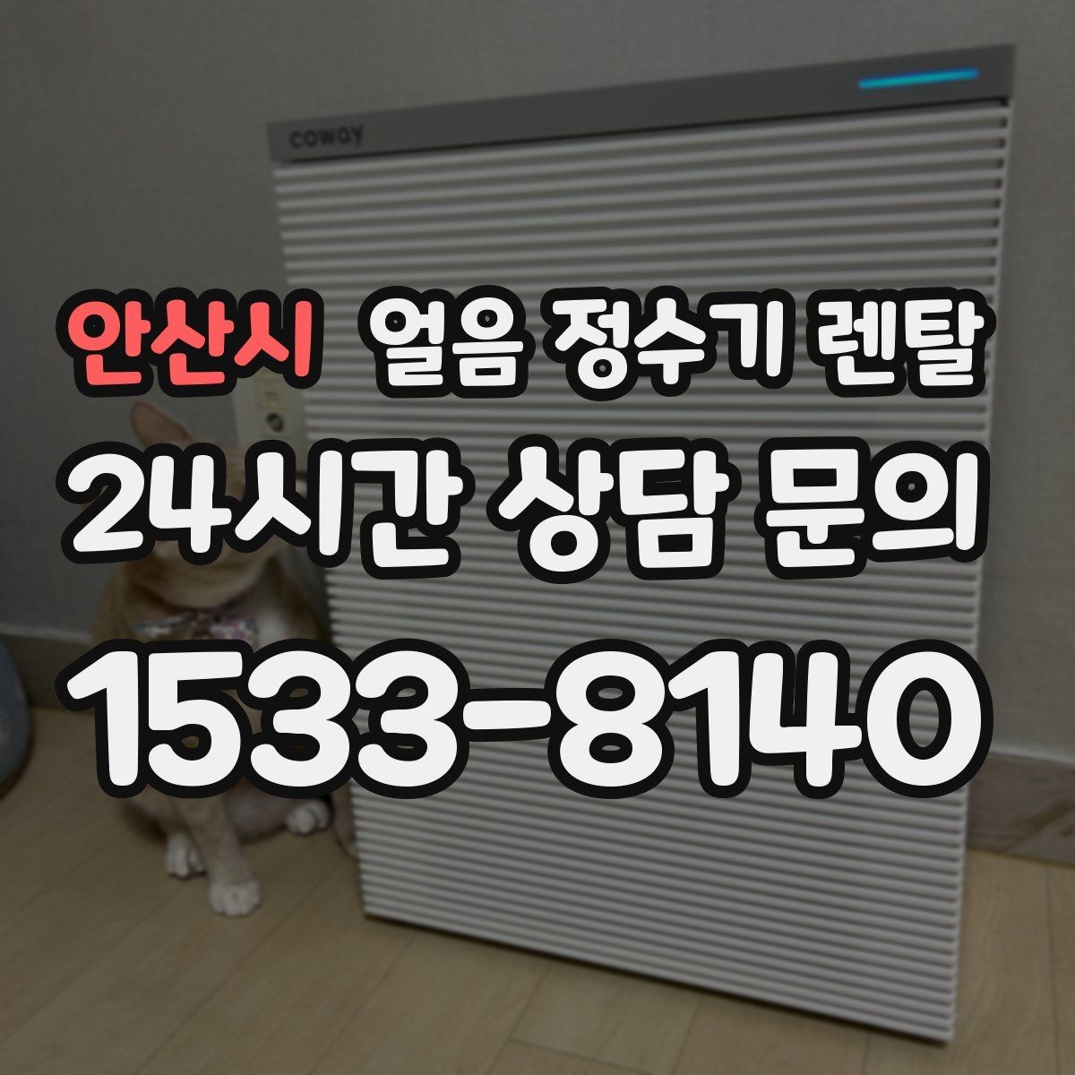 안산시 얼음 정수기 렌탈 얼음이 튀지 않게 받는 방법과 구조