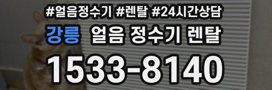 강릉 얼음 정수기 렌탈