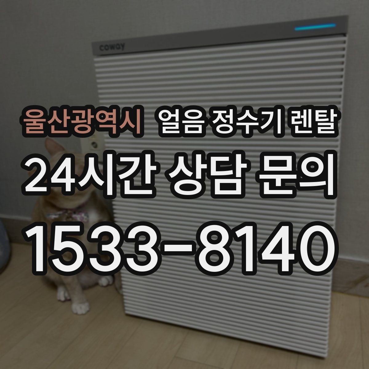 울산광역시 얼음 정수기 렌탈 큰 얼음과 작은 얼음 차이 정리