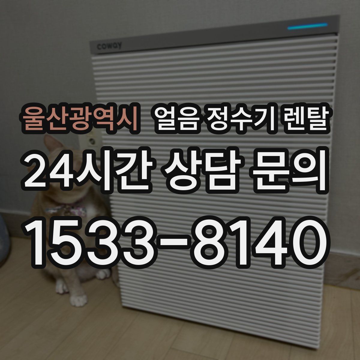 울산광역시 얼음 정수기 렌탈