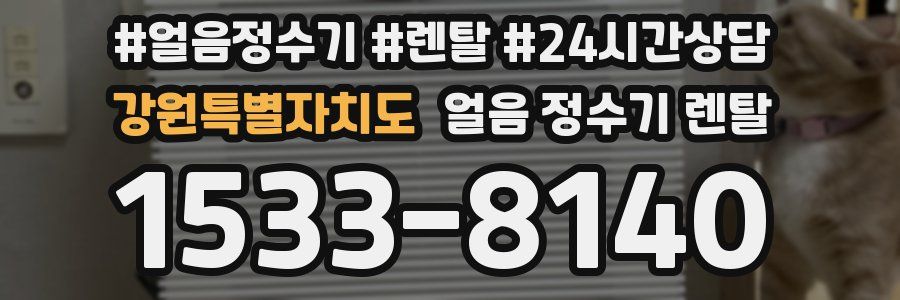 강원특별자치도 얼음 정수기 렌탈