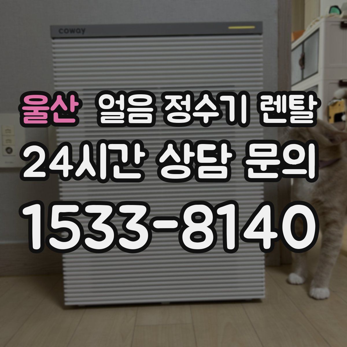 울산 얼음 정수기 렌탈