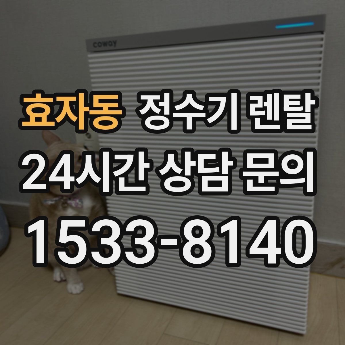 효자동 정수기 렌탈 방문 관리와 자가 관리 차이 정리