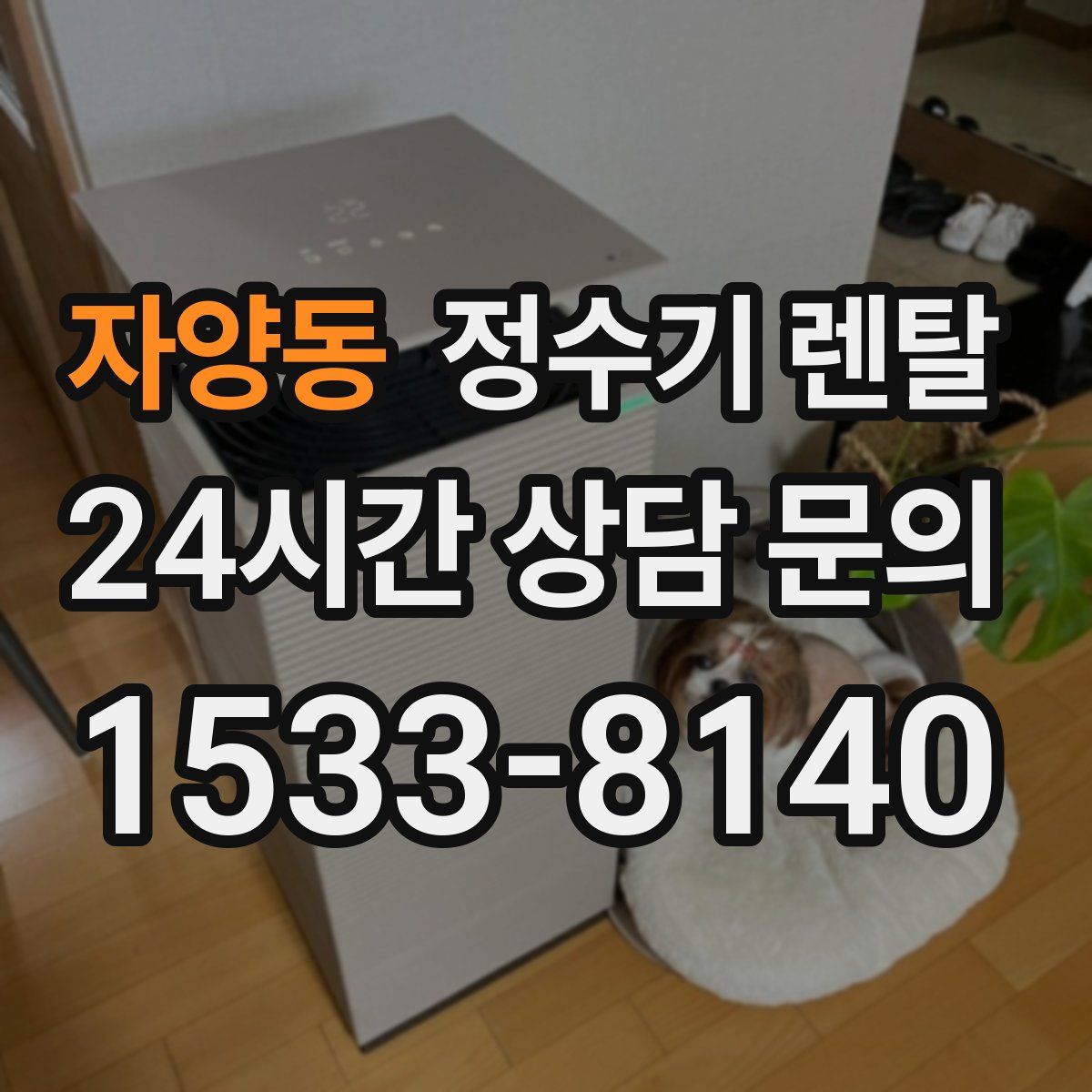 자양동 정수기 렌탈