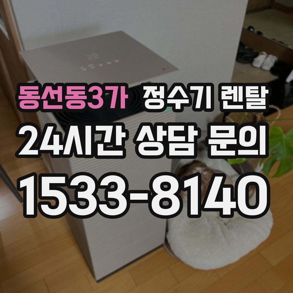 동선동3가 정수기 렌탈 겨울철 냉수 기능을 덜 써도 관리가 필요한 이유