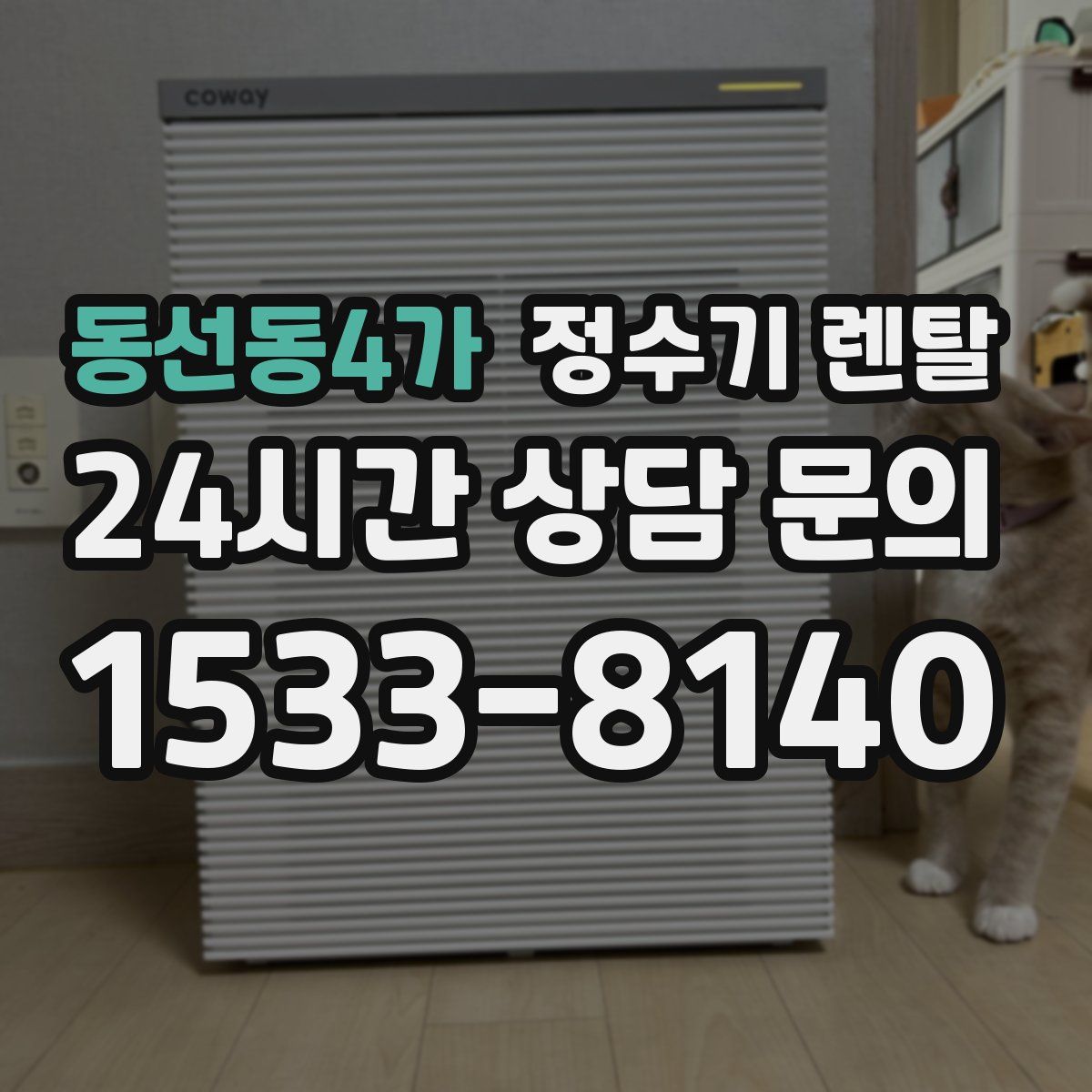 동선동4가 정수기 렌탈