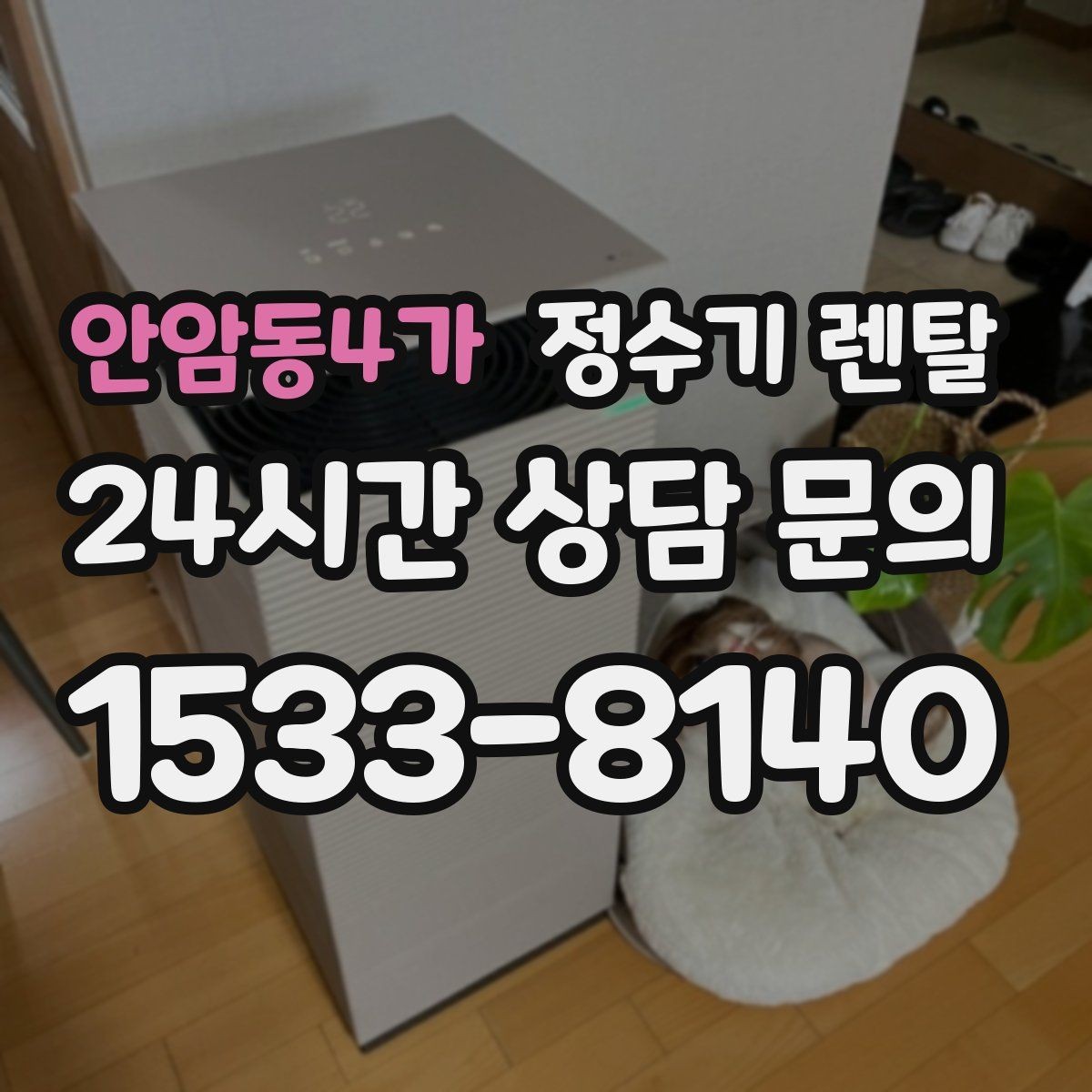 안암동4가 정수기 렌탈 후회 없는 선택을 위한 한 장 정리