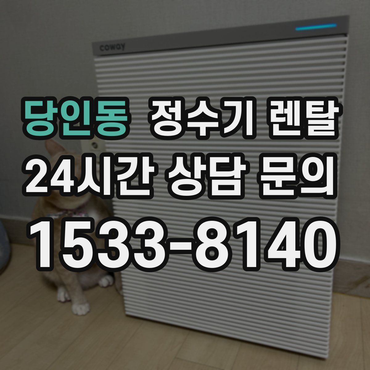 당인동 정수기 렌탈
