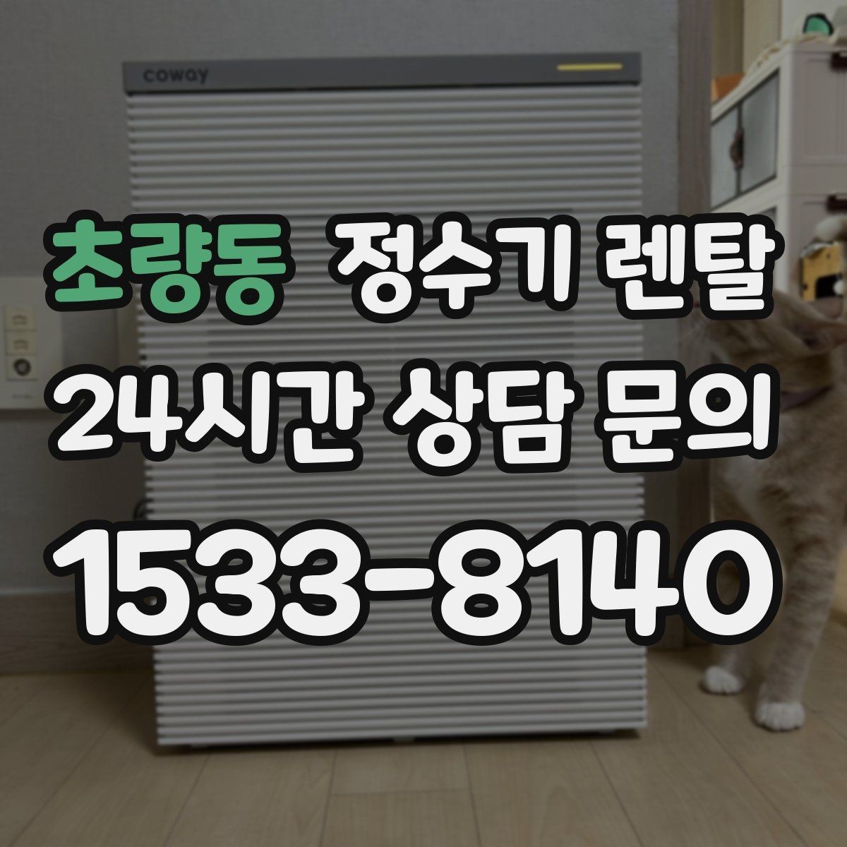 초량동 정수기 렌탈 여름철 위생 관리 팁 정리