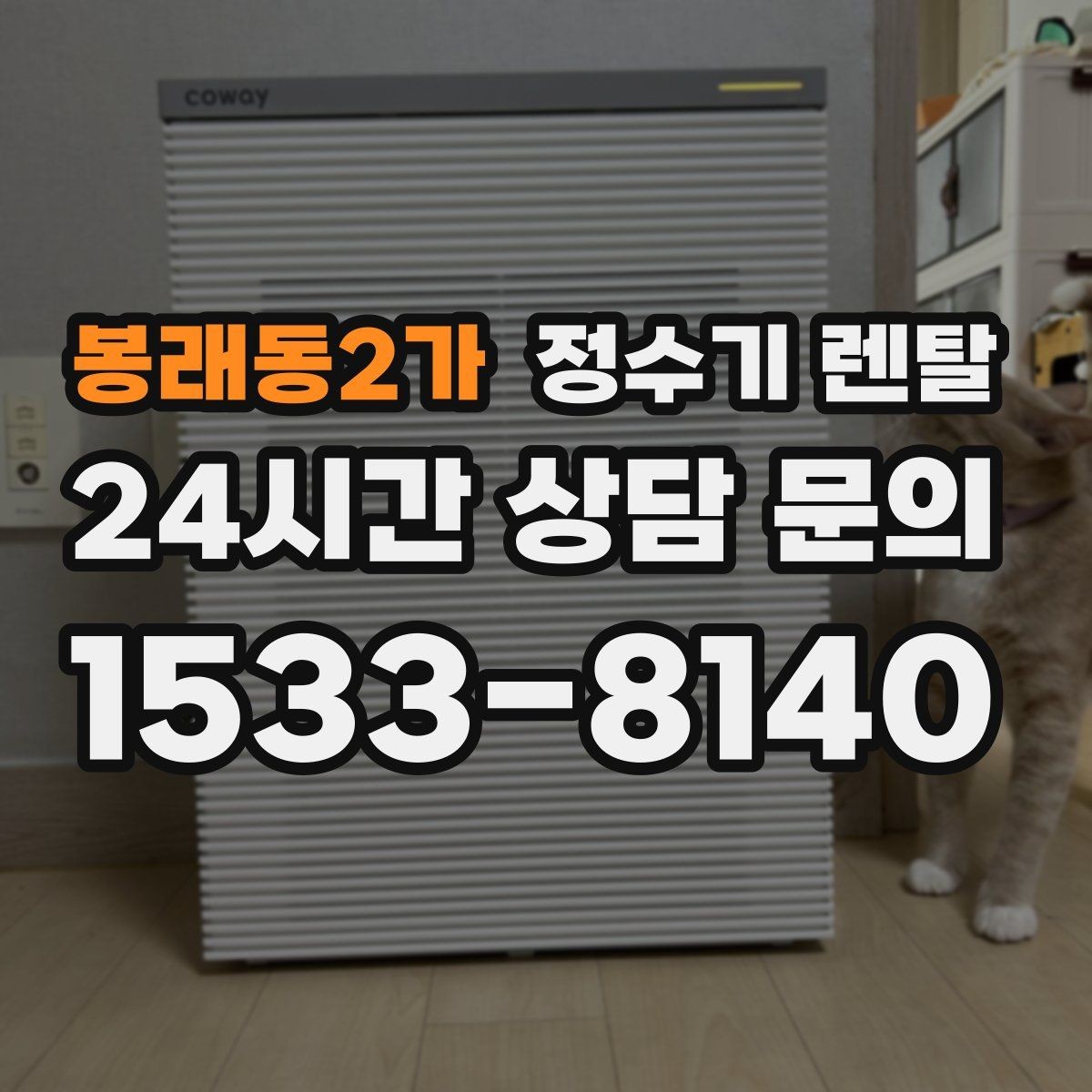 봉래동2가 정수기 렌탈 조건이 복잡할 때 핵심만 보는 방법