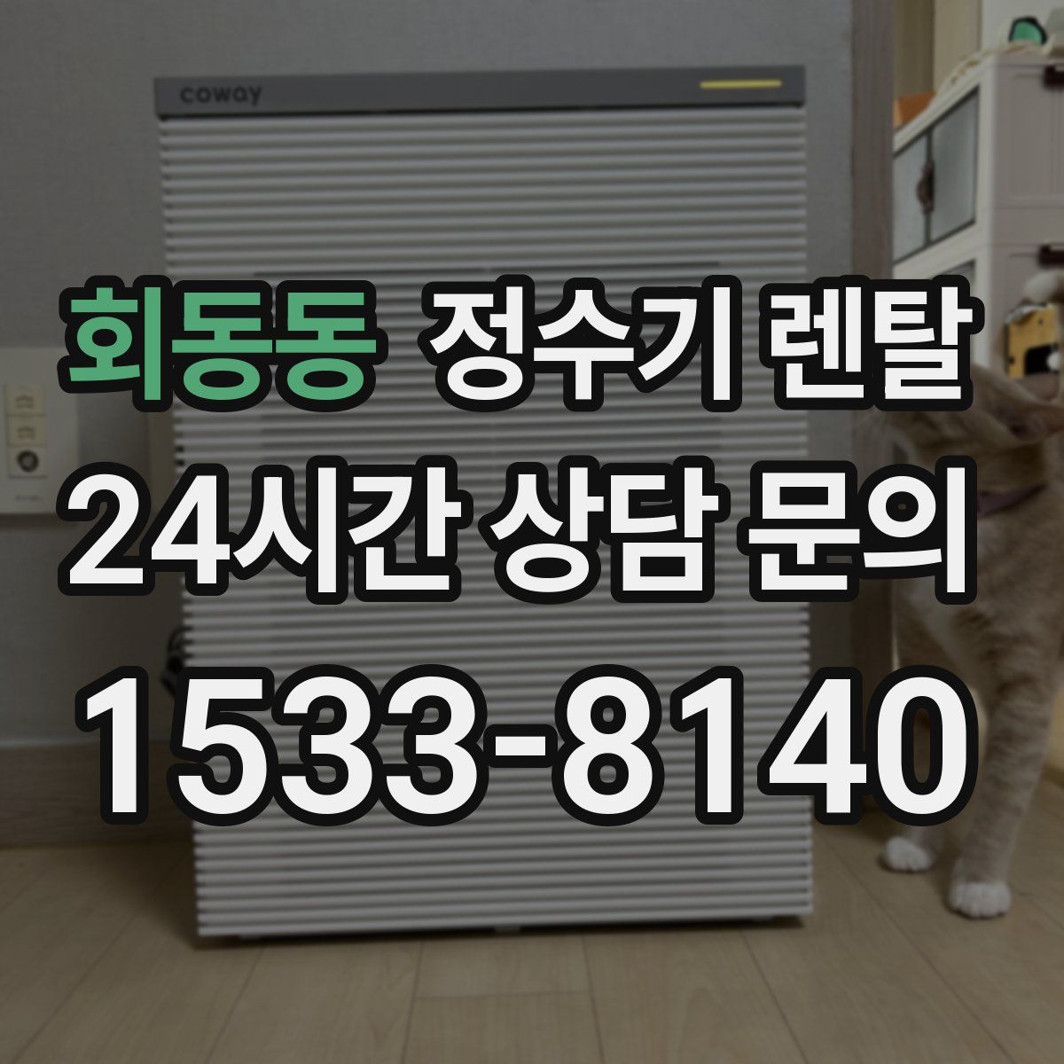 회동동 정수기 렌탈