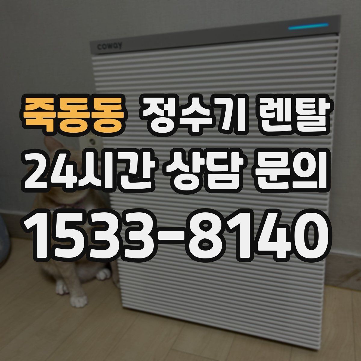 죽동동 정수기 렌탈 휴가 다녀온 뒤 처음 물 받을 때 주의할 점