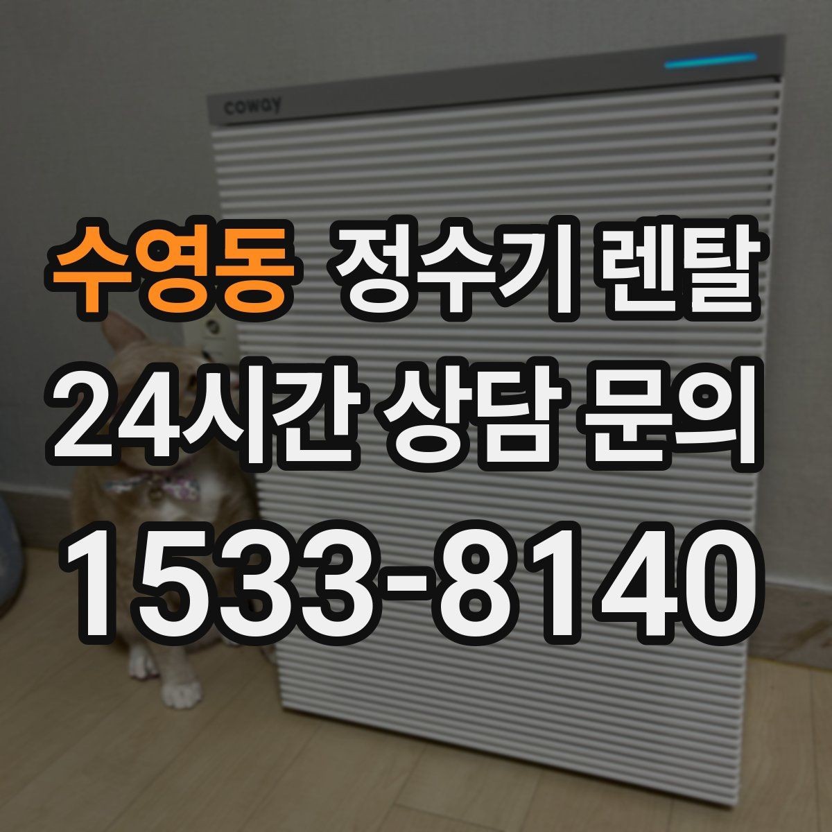 수영동 정수기 렌탈 사은품보다 관리 조건이 중요한 이유