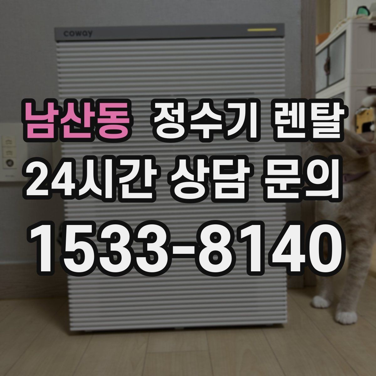 남산동 정수기 렌탈 렌탈 vs 구매 어떤 게 더 이득일까