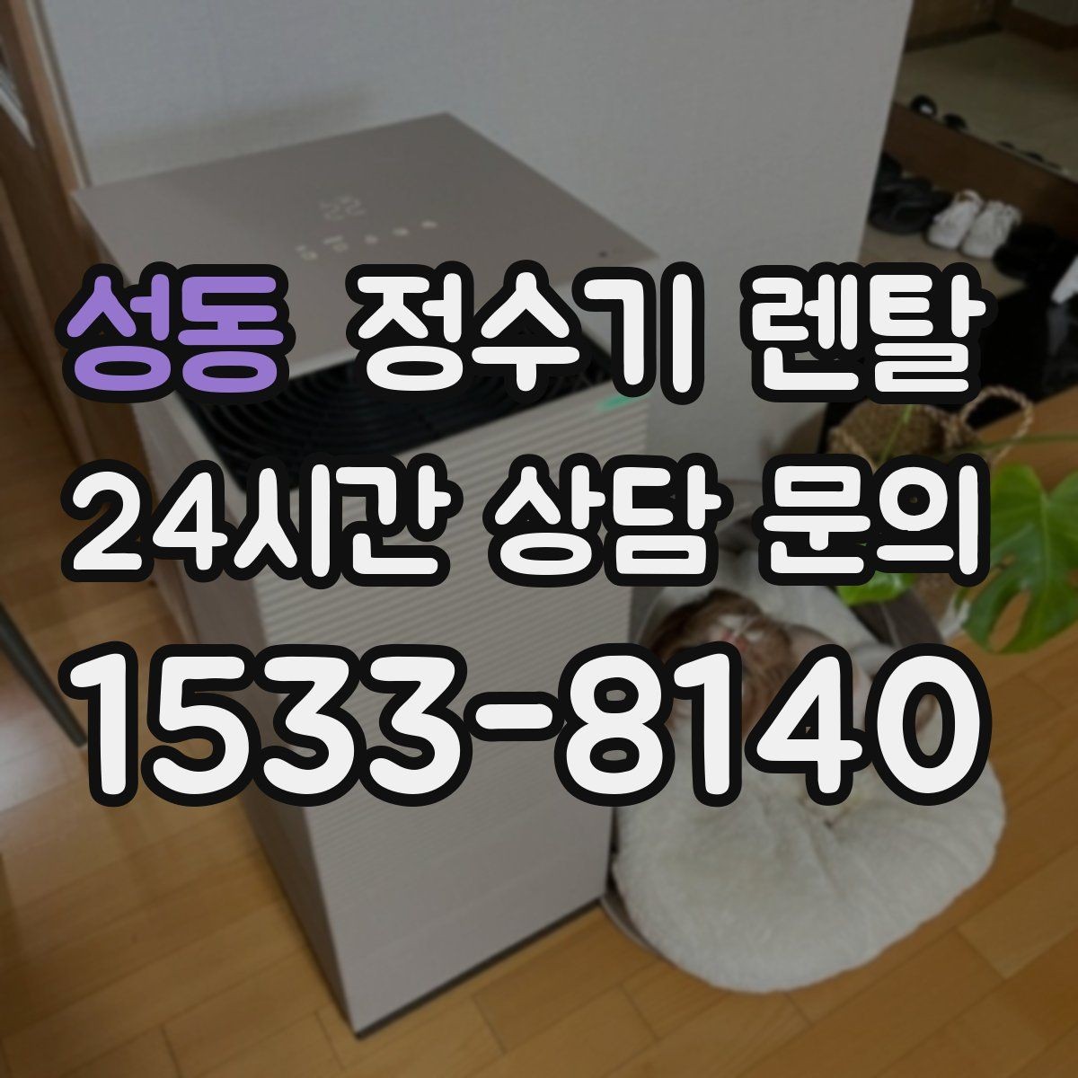 성동 정수기 렌탈 조건이 복잡할 때 핵심만 보는 방법