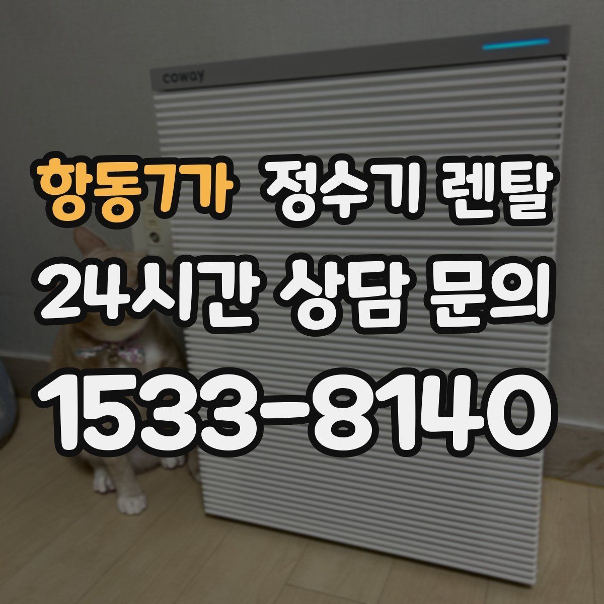 항동7가 정수기 렌탈 플러싱(초기 물빼기)을 제대로 해야 하는 이유
