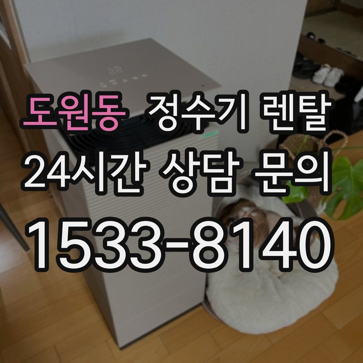 도원동 정수기 렌탈