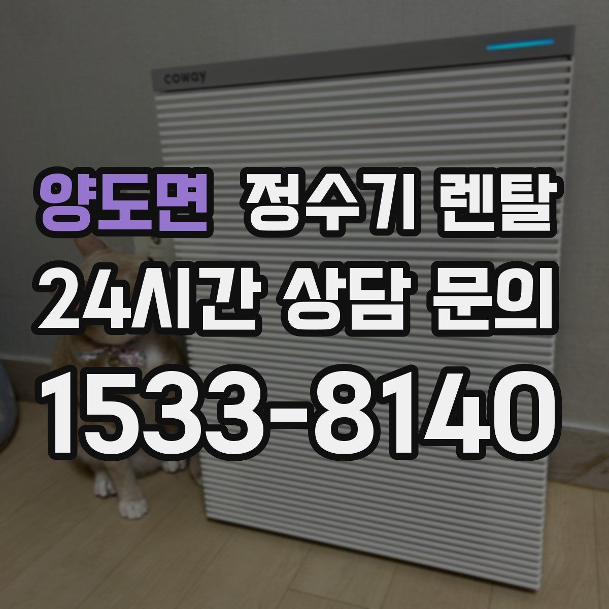양도면 정수기 렌탈 커피 차를 자주 마시면 추천되는 구성