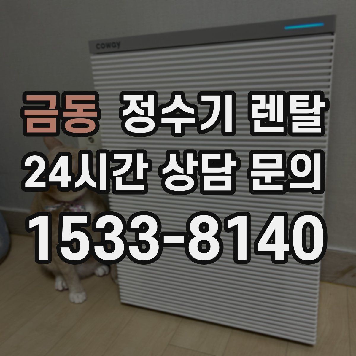 금동 정수기 렌탈 정수기 물이 떫게 느껴지면 필터를 의심