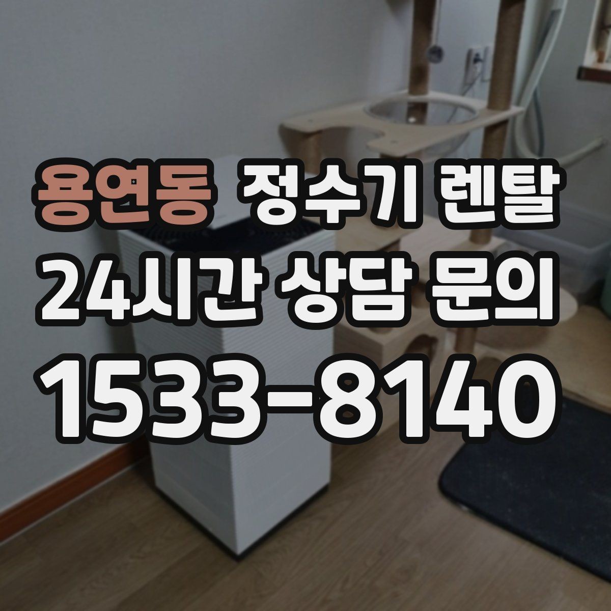 용연동 정수기 렌탈 카페 학원 사무실용 선택 기준 정리