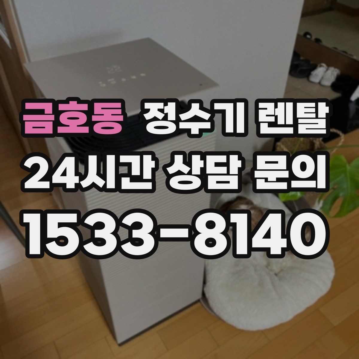 금호동 정수기 렌탈 위생 관리에서 가장 중요한 포인트