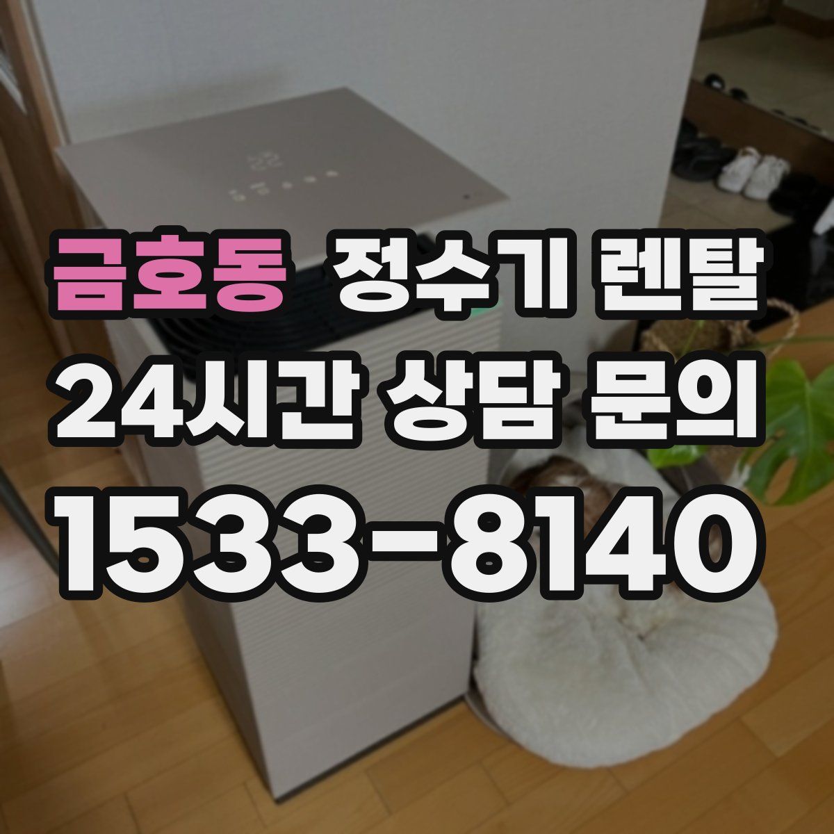 금호동 정수기 렌탈