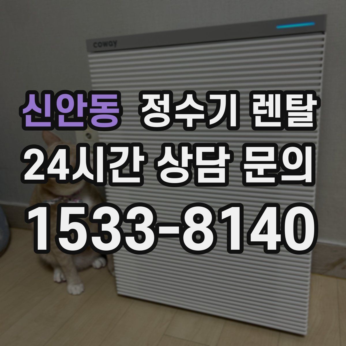 신안동 정수기 렌탈 우리 집 사용 패턴으로 추천 받는 방법