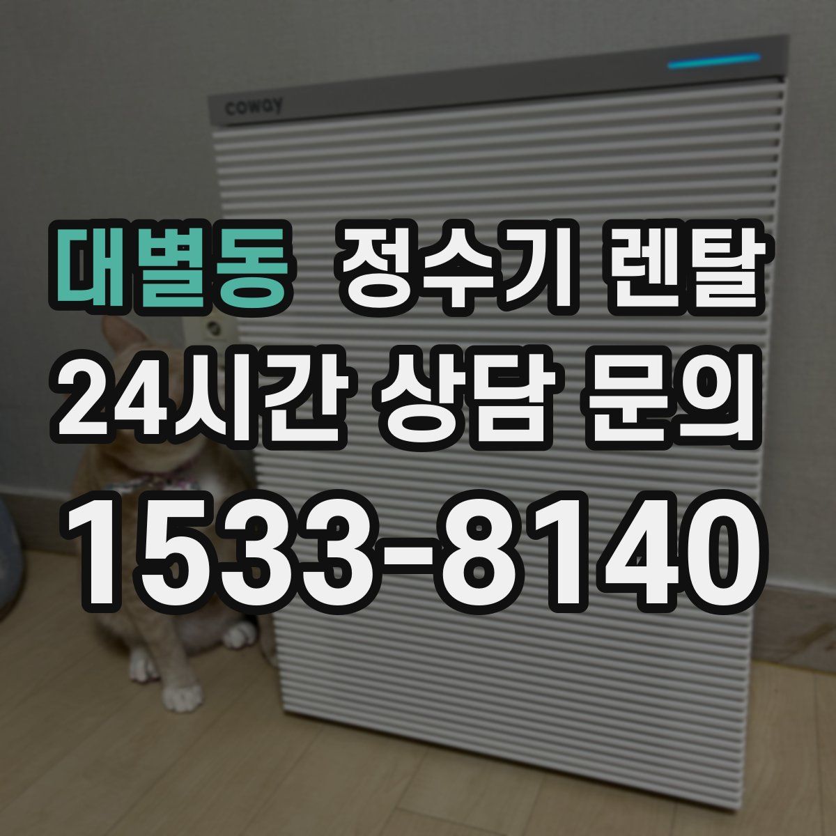대별동 정수기 렌탈