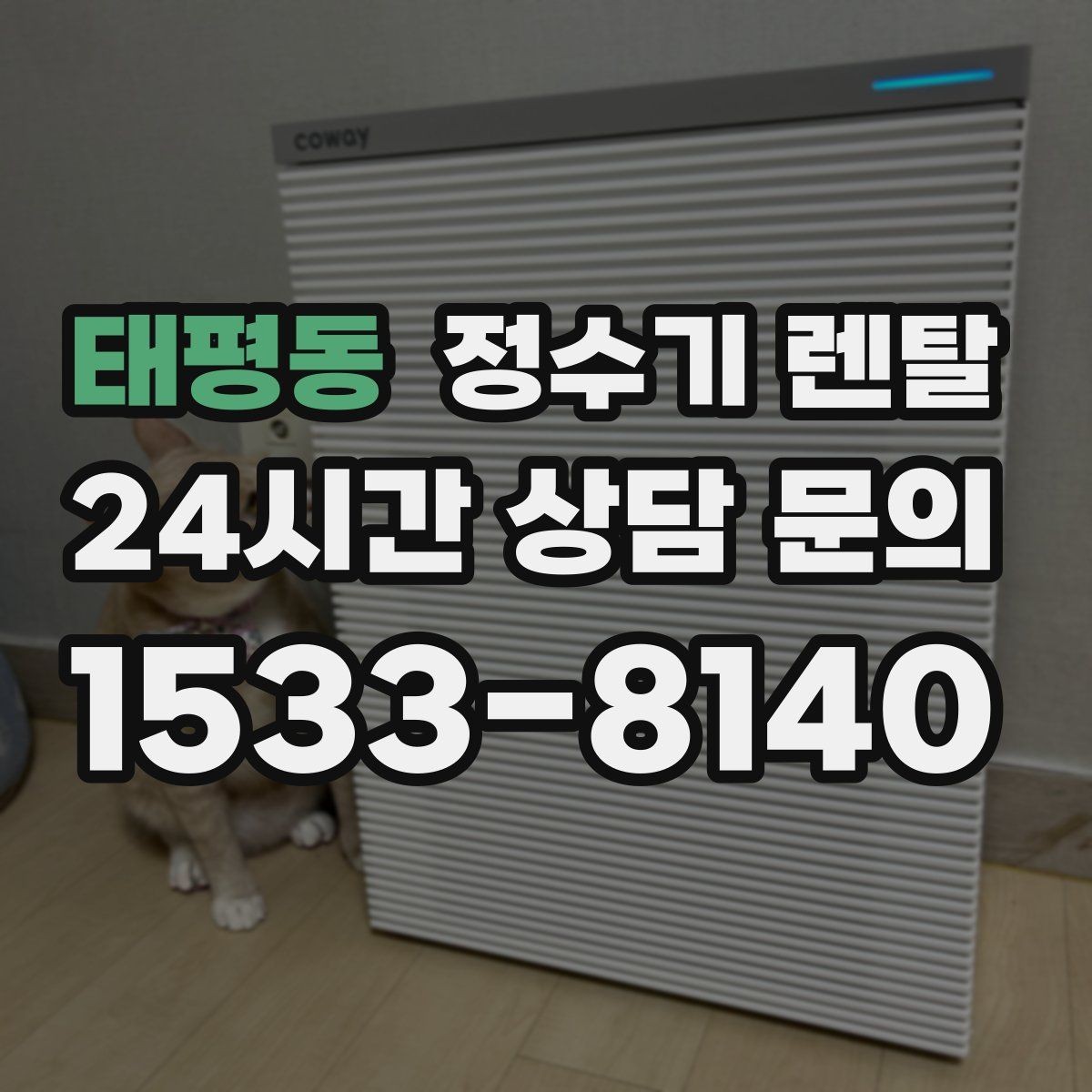 태평동 정수기 렌탈 빌트인 설치가 좋은 주방 구조는 이런 경우