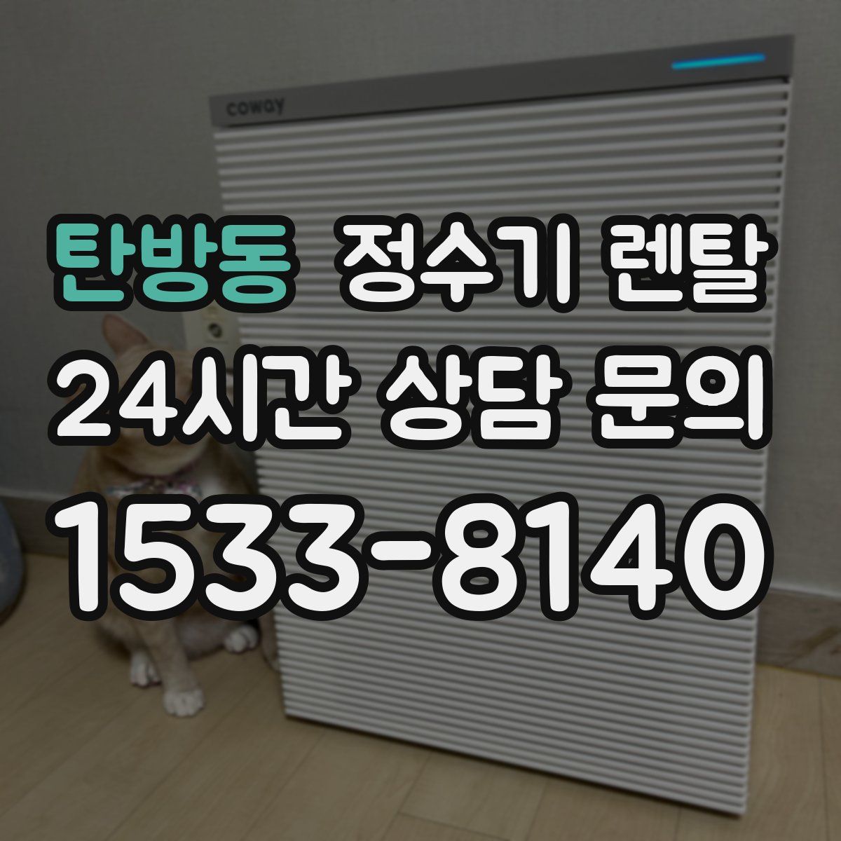 탄방동 정수기 렌탈