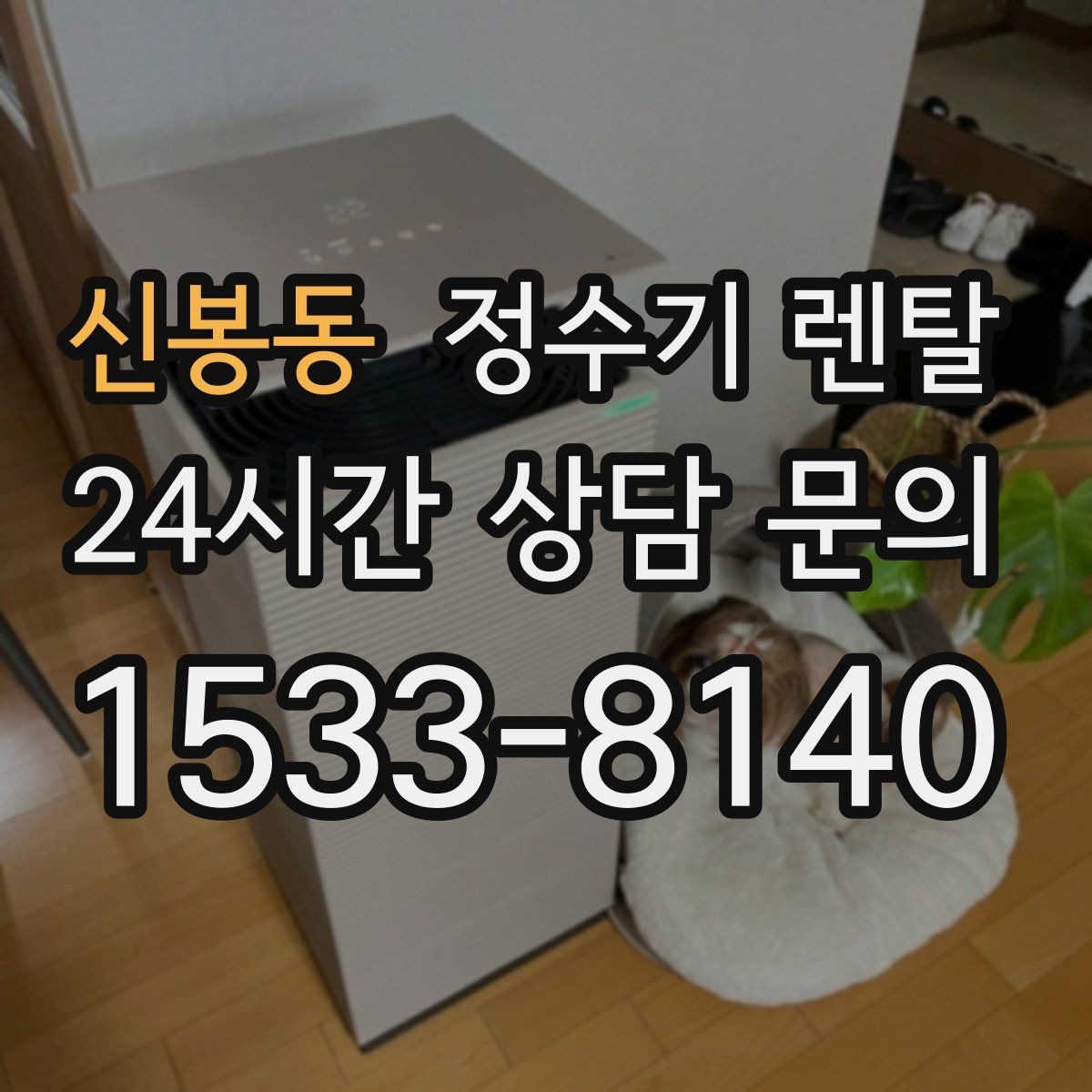신봉동 정수기 렌탈 미네랄 유지형이 좋은 사람들