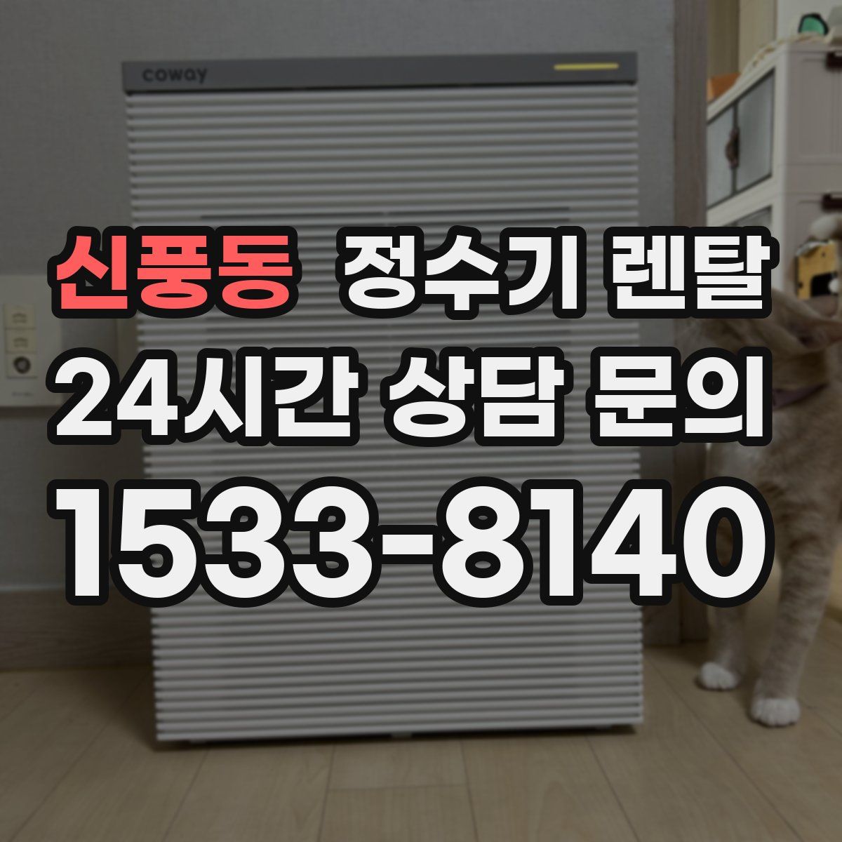 신풍동 정수기 렌탈
