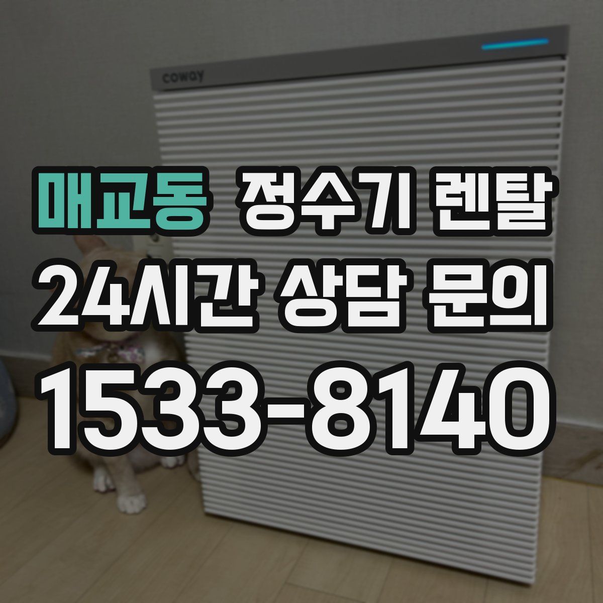 매교동 정수기 렌탈